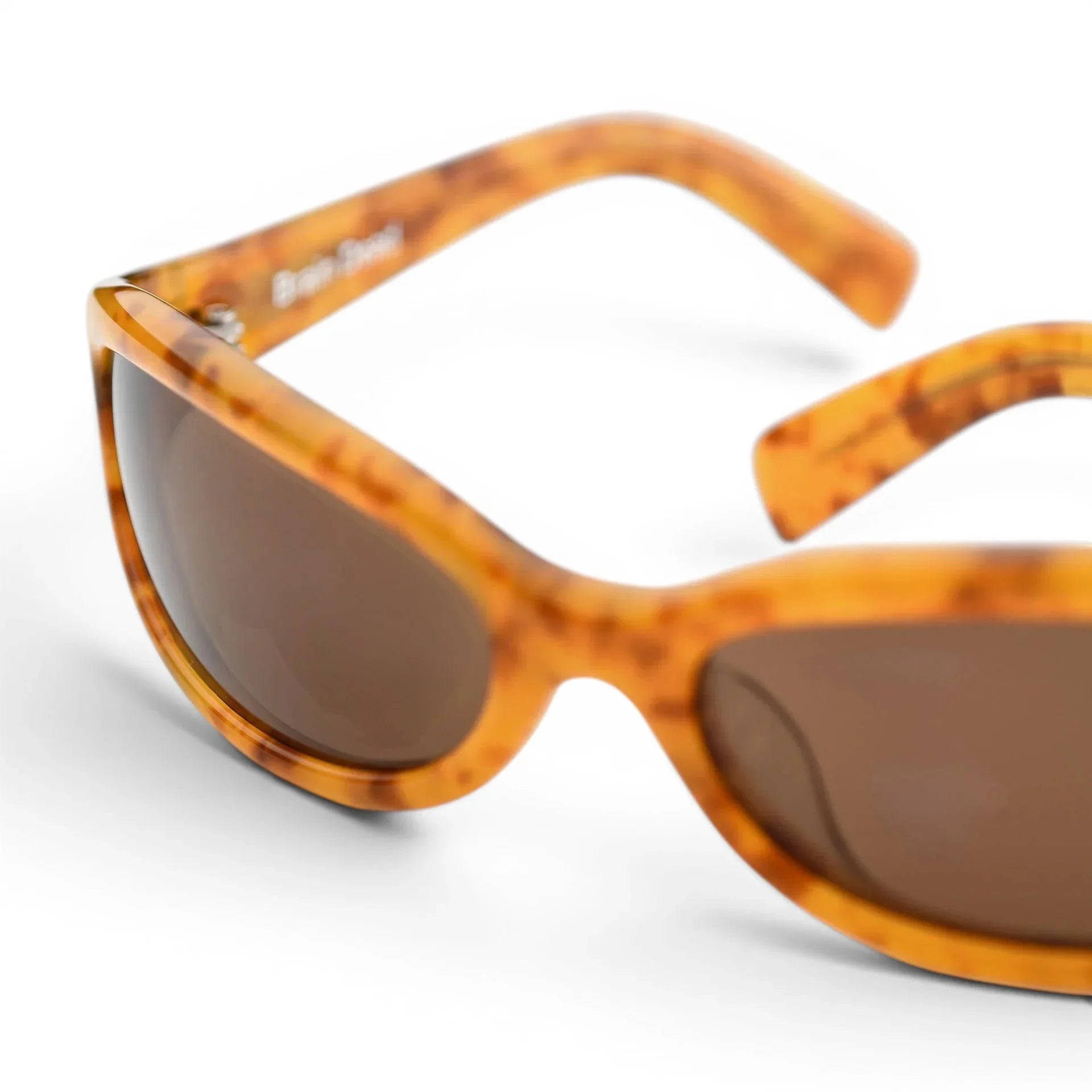 Akila Bingo for Brain Dead Sunglasses | thegoodlife. UAE