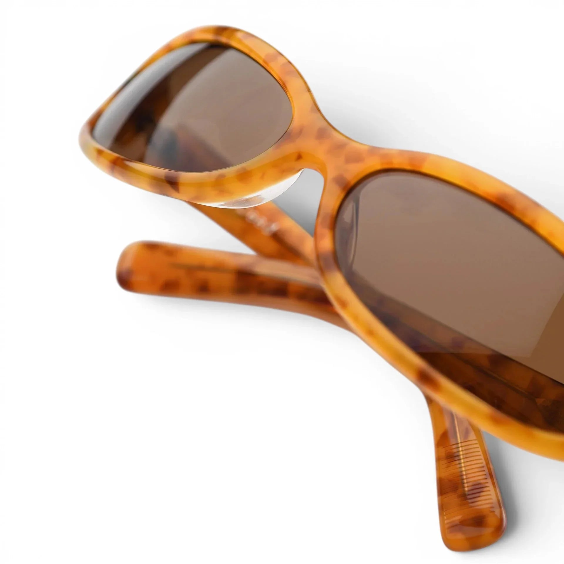 Akila Bingo for Brain Dead Sunglasses | thegoodlife. UAE