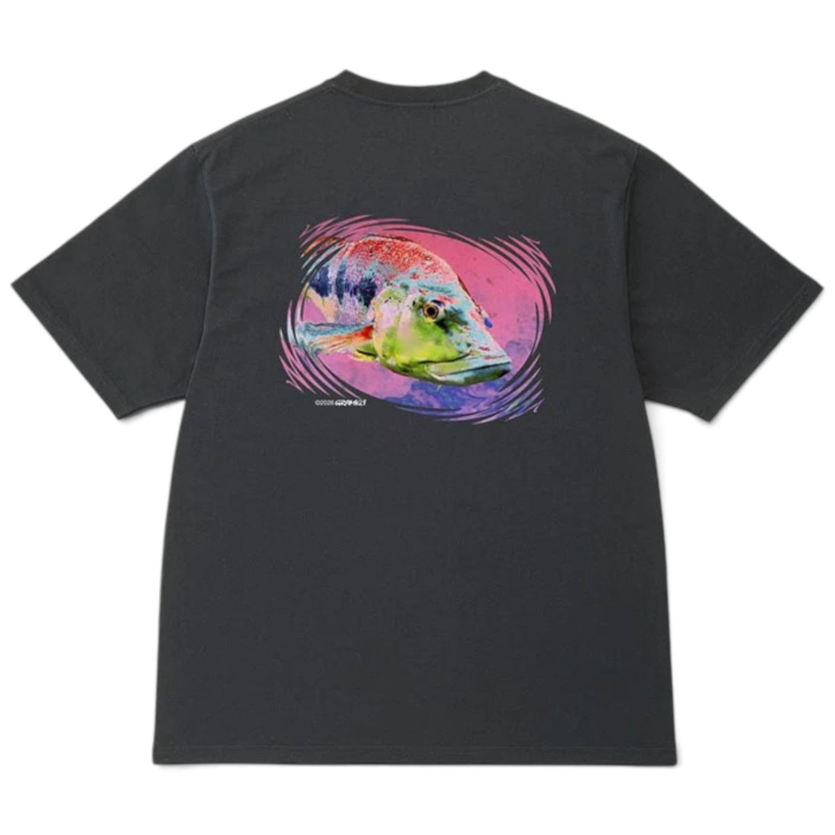 gramicci_bass_tee_vintage_black__1_.jpg