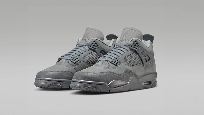 The Jordan 4 SE Paris Olympics 