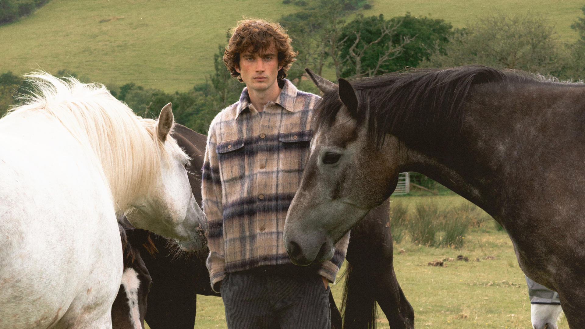 mobile collection banner