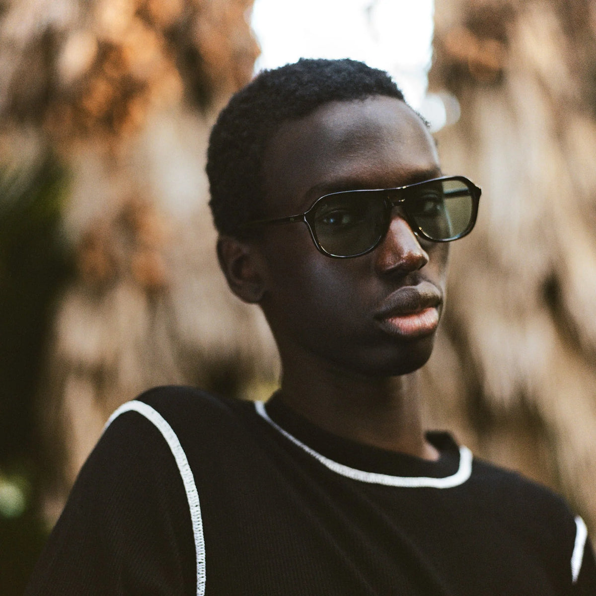 Myca Sunglasses