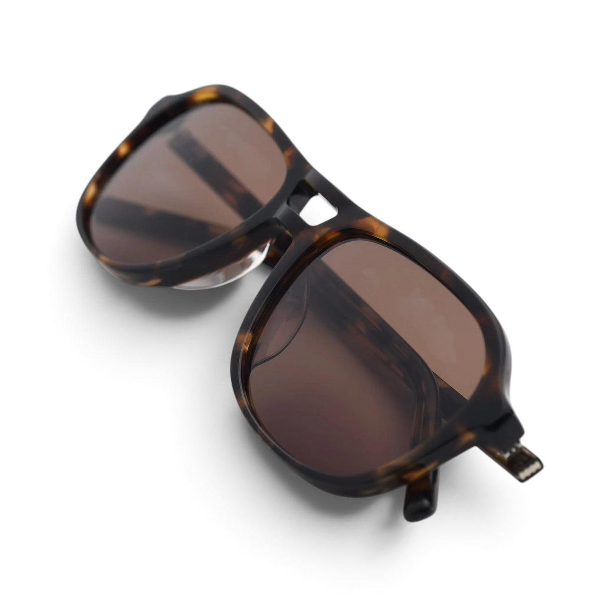 Myca Sunglasses